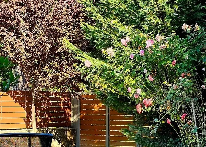 Filia Stone * Gouvia