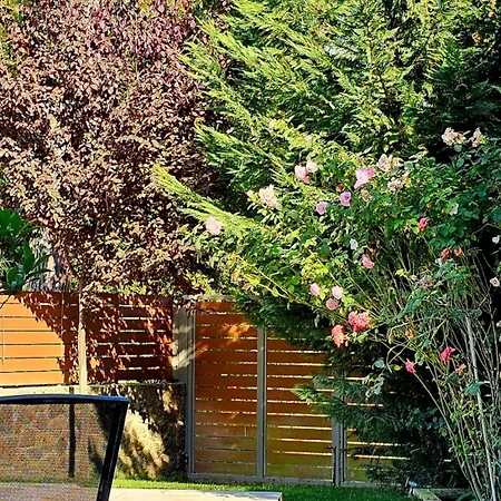 Filia Stone * Gouvia