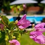 Filia Stone Villa *