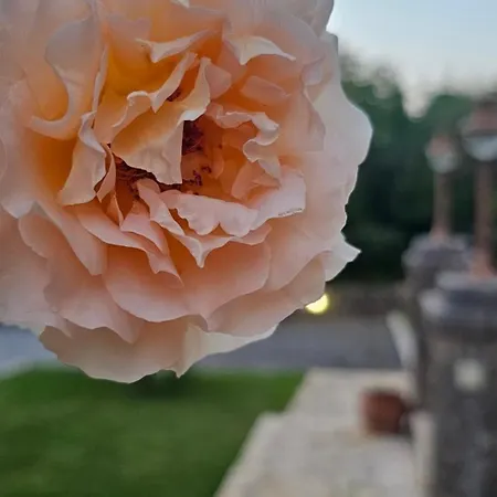 Вилла Filia Stone *