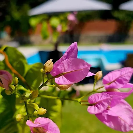 Filia Stone Вилла *