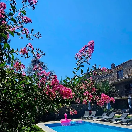 Filia Stone Гоувия